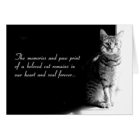 Cat Quotes Animal Quotes Moon Quotes Grief Quotes Animal Pics