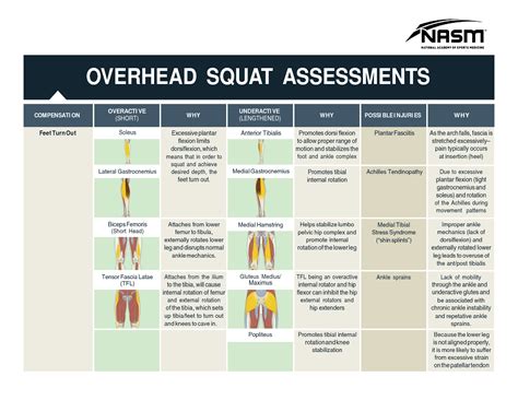 Solution Overhead Squat Assessments Feet Turn Out Chart Studypool