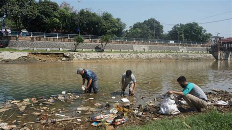 Perangkap Sampah Di Sungai Dikeruk Alat Berat Sampah Di Sungai