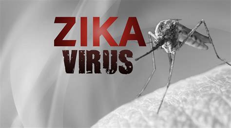 First Zika Virus Case Confirmed In Sc