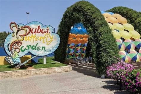 Dubai Butterfly Garden Entry Pass 2024