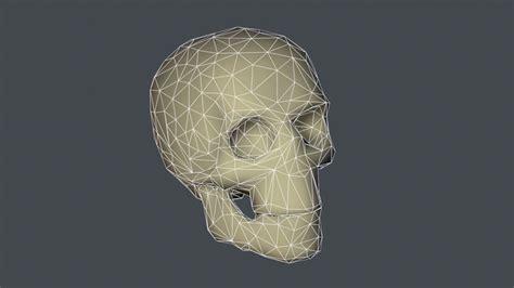 3d Model Human Skull Vr Ar Low Poly Obj Fbx Ma Mb Mtl Tga