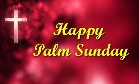 30 Happy Palm Sunday 2023 Wishes From Bible
