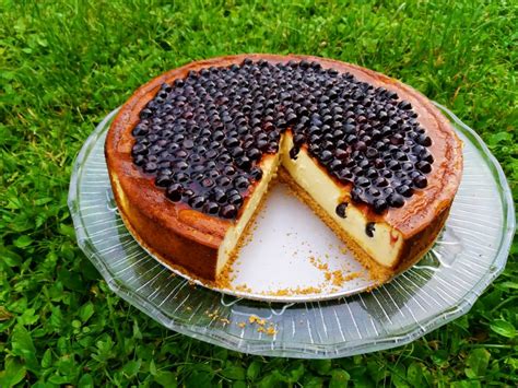 Cheesecake z borovnicami - mojpogled.com