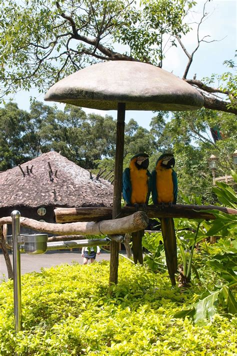 At leofoo village theme park, you can explore themed areas, ride over 30 exciting rollercoasters, and interact with exotic animals on safari. finaldustjourney: Leofoo village Theme park