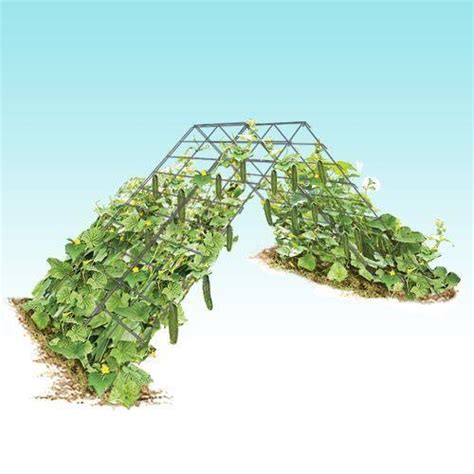 We did not find results for: Heavy Duty Trellis System - Modular Wire Trellis Systems ...