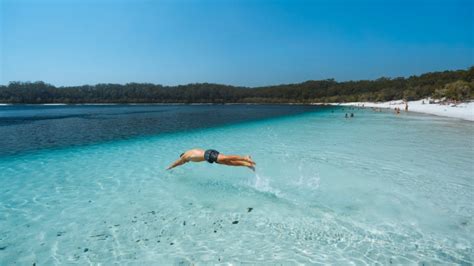 Fraser Island Top Tips For Making The Trip Au
