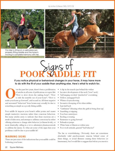 Signs Of Poor Saddle Fit Schleese