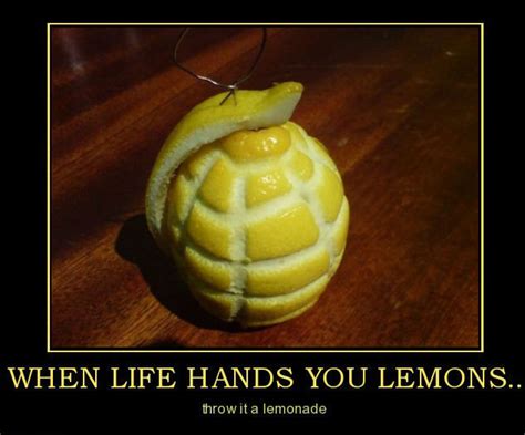 When Life Hands You Lemonsthrow It A Lemonade Funny Pictures