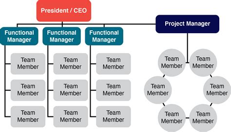 Structures Project Management Basics