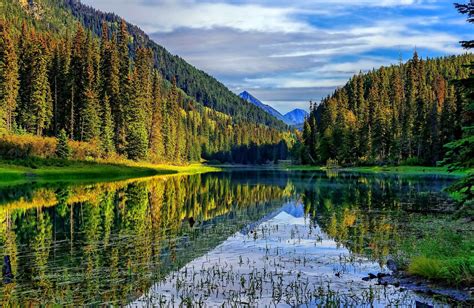 Duffey Lake Provincial Park Βρετανική Κολομβία Hills Serenity Δάσος
