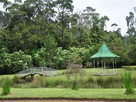 Victoria Park Things To Do In Nuwara Eliya Sri Lanka
