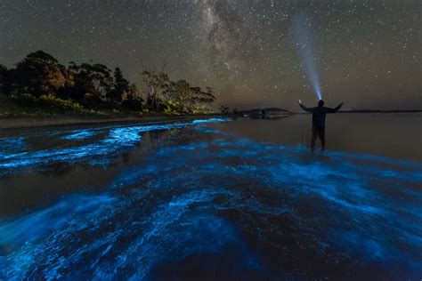 Top 3 Marvelous Bioluminescence Tour Grand Cayman Sweet Spot Watersports