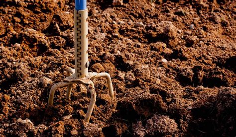 Soil Vs Dirt Whats The Difference And Why It Matters Milliths Garden