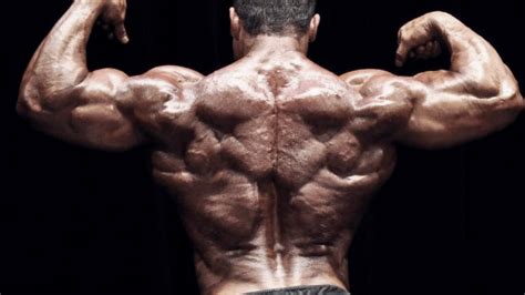 Building A Big Freaky Back