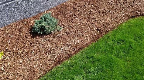 Edging Clean Cut Landscape How To Properly Edge A Lawn Using A