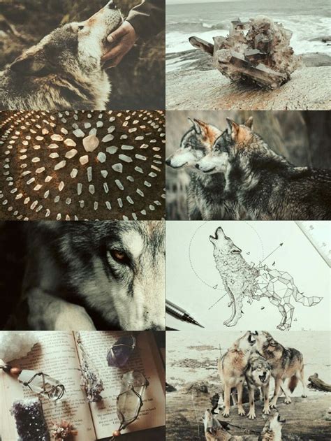 What a gorgeous character aaa i'm such a huge fan of werewolves and the way you drew their human form is so heckin adorable! kinstethic: " Wolf aesthetic " | Werewolf aesthetic, Magic ...