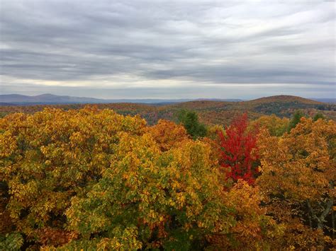The 3 Best Places to View Fall Foliage in Connecticut | Manor House Inn