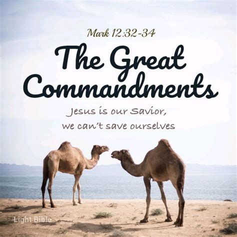 The Great Commandments Daily Devotional Christians 911