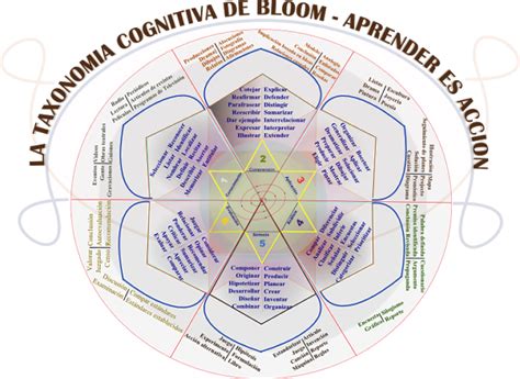 Rosa De Bloom Blooms Taxonomy Blooms Taxonomy Poster Taxonomy