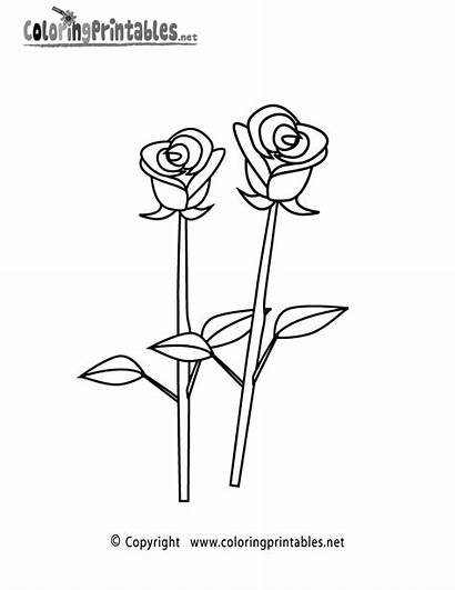 Coloring Rose Pages Printable Adult Adults Printables