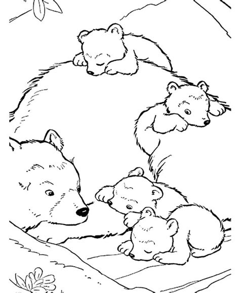 Baby Bear Coloring Pages At Free Printable Colorings