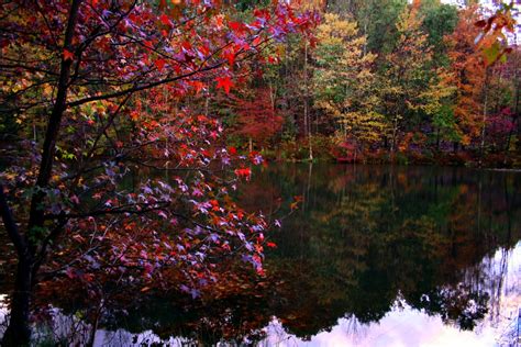 Fall Trees Winecellar Lake Trees Free Nature Pictures By