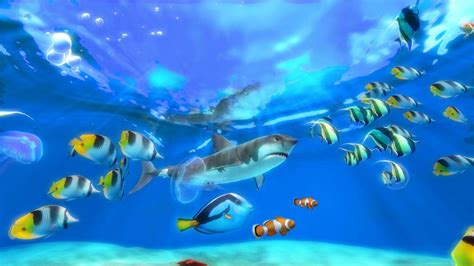 水族馆屏保sim Aquarium 3和谐版 Joycode 编程小战