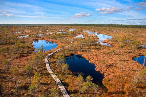 Why You Should Care About Peat Bogs