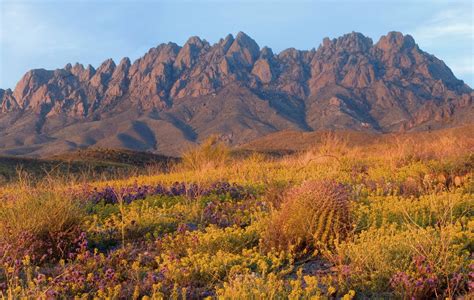 Organ Mountains Desert Peaks National Monument The Conservation Alliance
