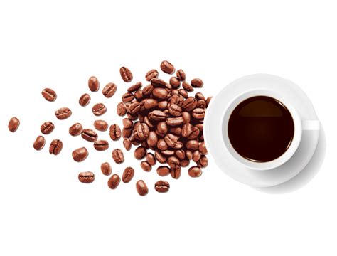 Coffee Beans Png File Png Mart