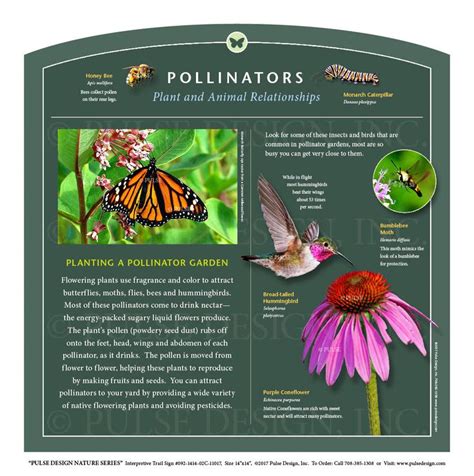 We did not find results for: Pollinator garden — News — Pulse Design Outdoor ...