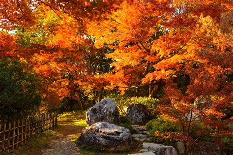 2019 Autumn Forecast Best Places To See Autumn Leaves In Japan
