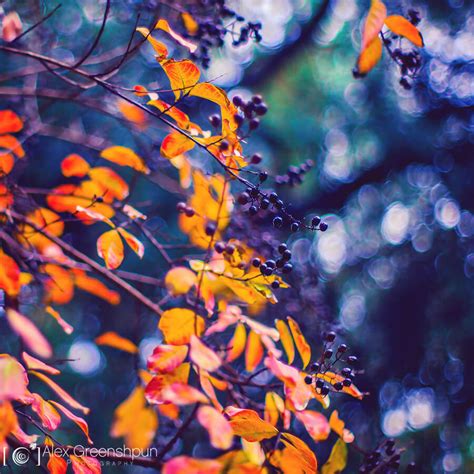 20 Beautiful Examples Of Photography Using Vibrant Colors