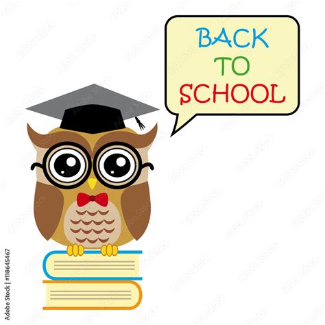 Cute Owl Teacher On White Background Cartoon Back To School Stock