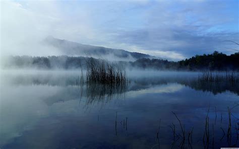 Foggy Lake Wallpapers On Wallpaperdog