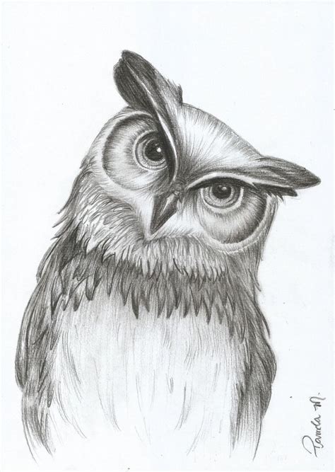 Pin By Leahmay On Drawings Owl Sketch Owls Drawing Sketches