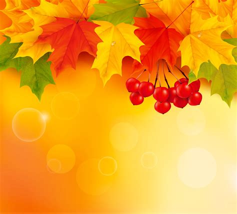 Orange Fall Leaves Background Gallery Yopriceville