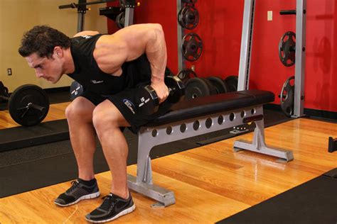 seated bent over two arm dumbbell triceps extension exercise videos and guides