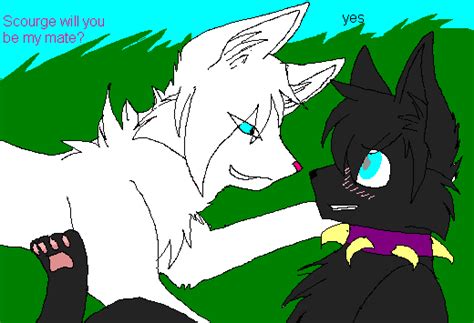 Has been added to your cart. Scourge's new mate by Shadowtoungplz on DeviantArt