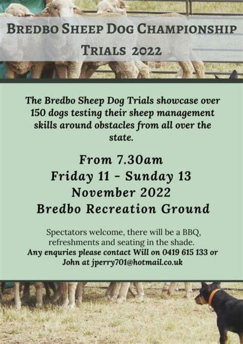 Annual Bredbo Sheep Dog Championship Trials 2022 Visit Cooma