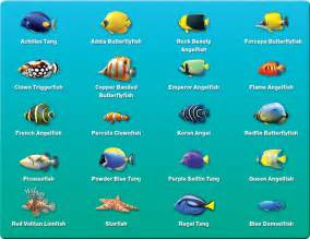 Dozens of Fish Species