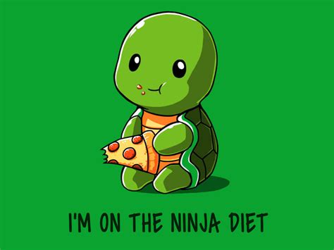 Ninja Diet Shirt From Tee Turtle Daily Shirts
