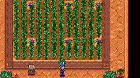 How To Get Ancient Fruit In Stardew Valley Pro Game Guides