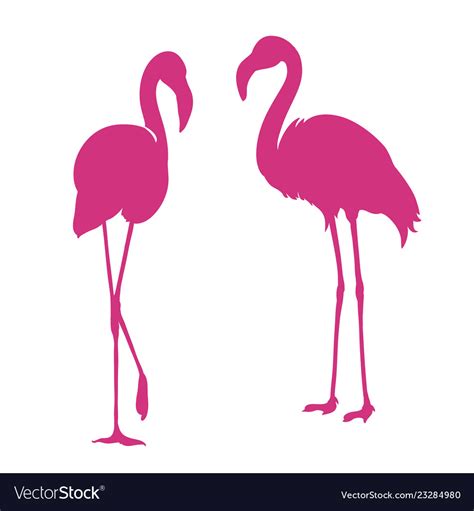 Flamingo Exotic Bird Two Pink Flamingo Royalty Free Vector