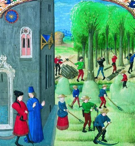 Les Grands Défrichements Du Moyen Age Histoire Géo à Crécy En Ponthieu