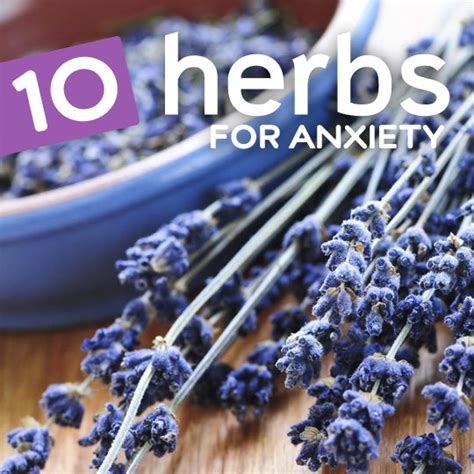 10 Natural Herbs For Anxiety Stress