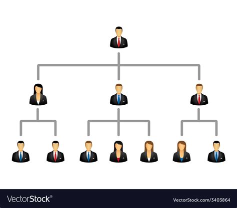 Business Structure And Hierarchy Of Company Vector Image