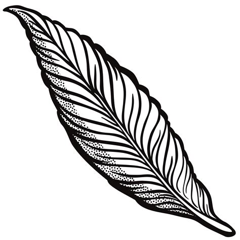 Feather clipart hipster, Feather hipster Transparent FREE for download on WebStockReview 2020