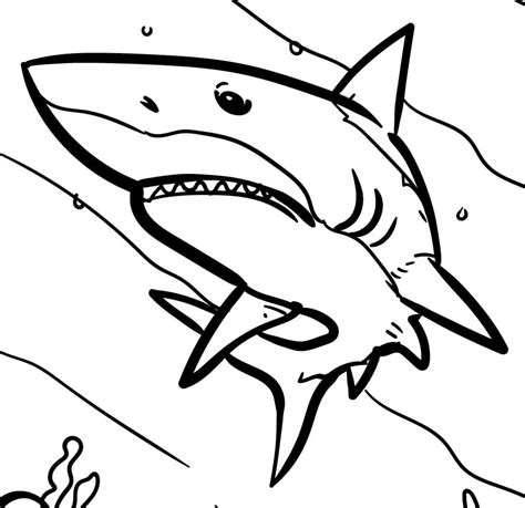 Shark Coloring Page